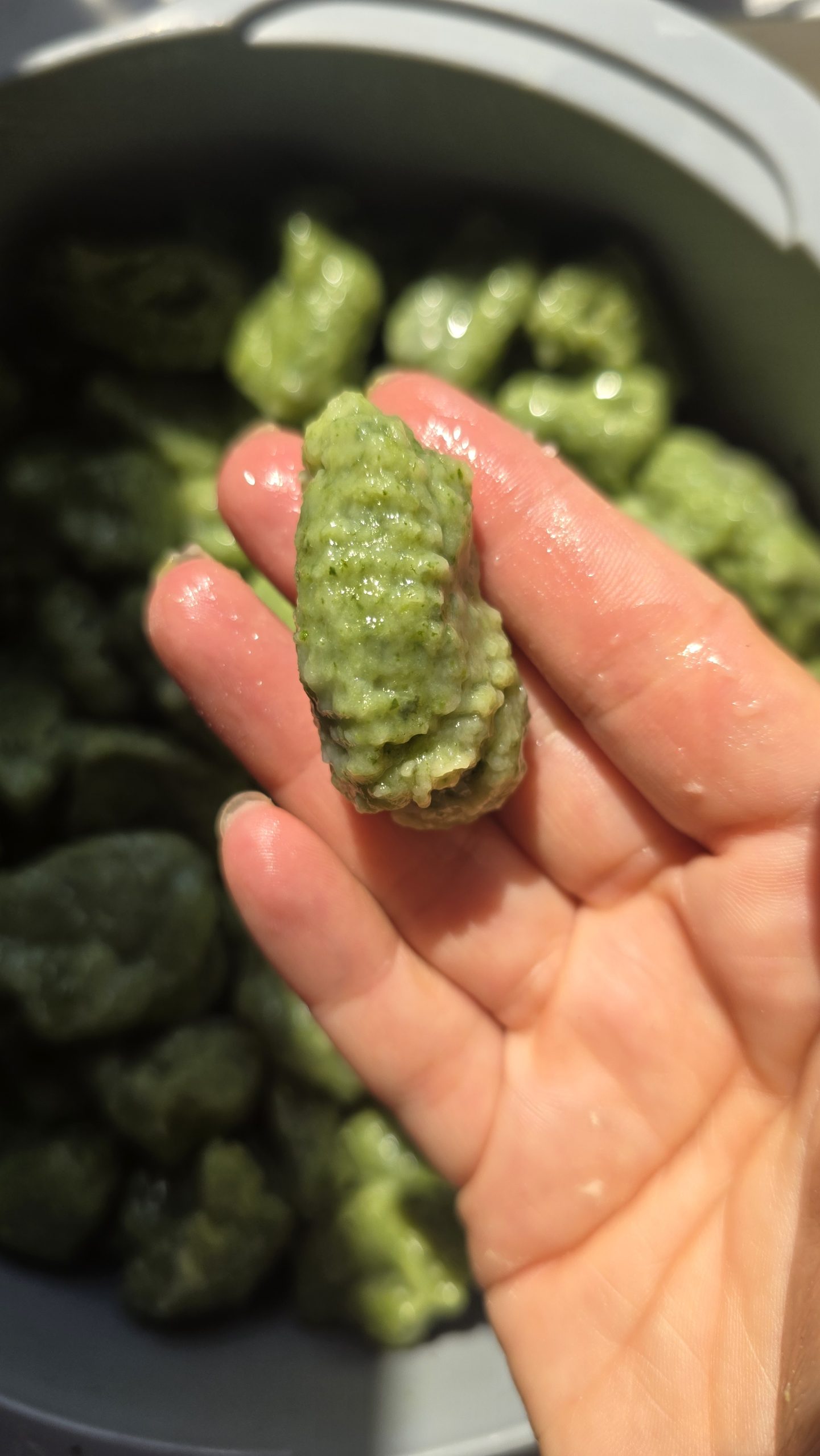 Gnocchi cu mangold